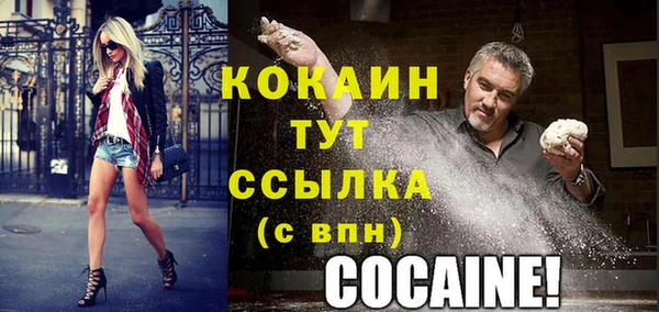 шишки Ростов